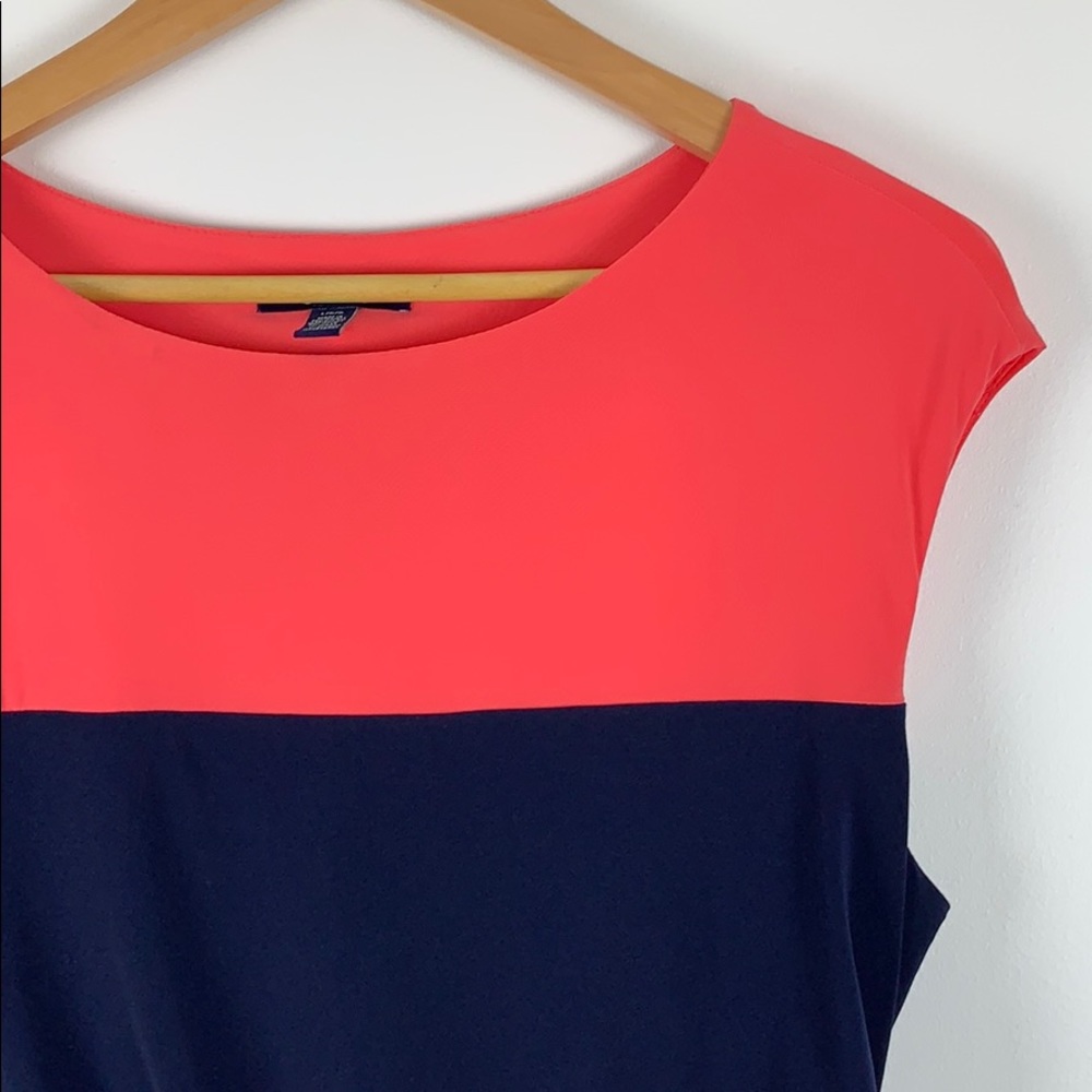 Navy & Pink Chaps Dress